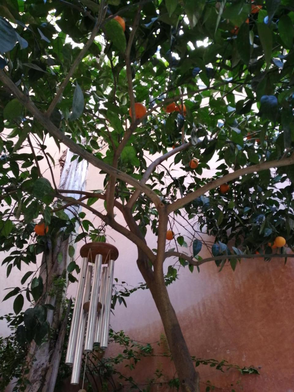 Les Bains De Fez Tara Bed & Breakfast Dış mekan fotoğraf